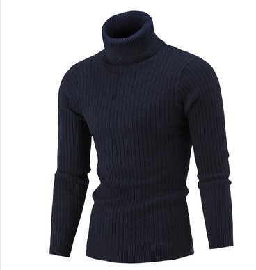 Herren stilvoller Rollkragenpullover mit Zopfmuster Echoarchiv