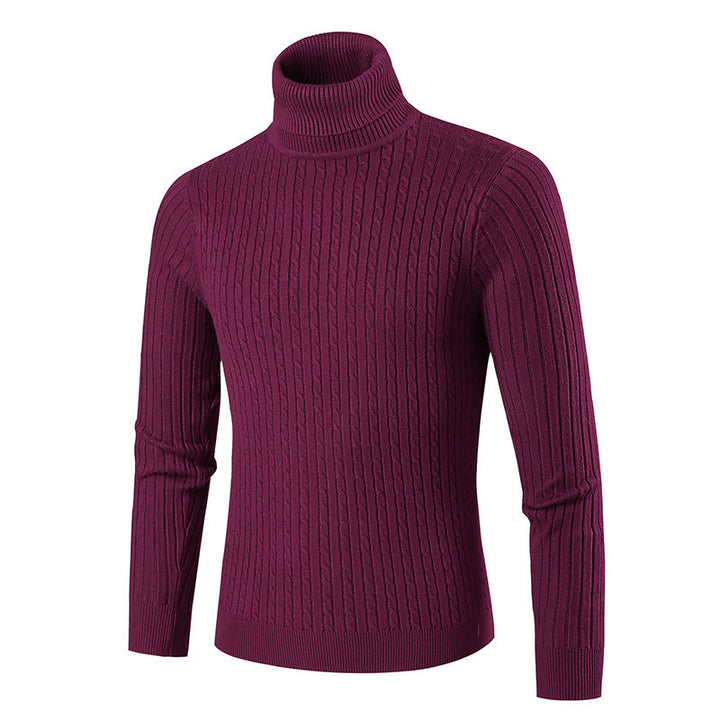 Herren modischer Rollkragenpullover aus strukturiertem Strick Echoarchiv