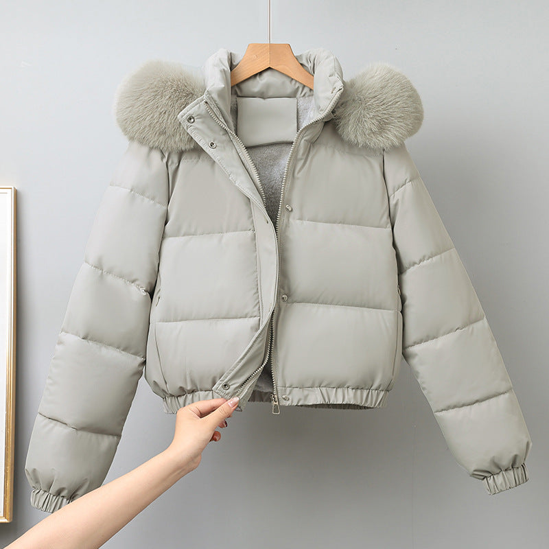 Damen kurz geschnittener Thermo-Blouson mit voluminöser Kapuzenblende und elastischem Saum – Célinea