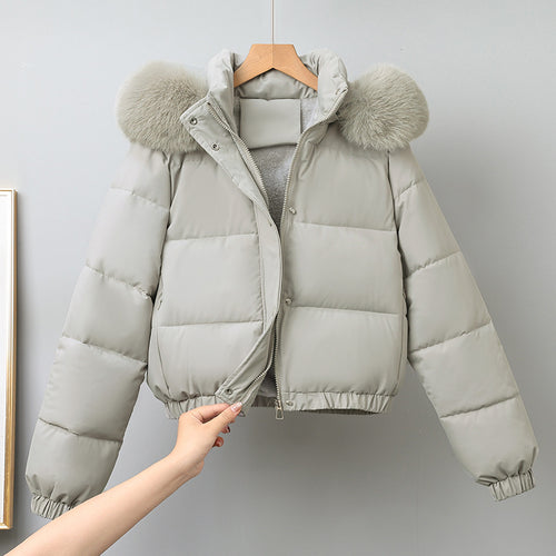 Damen kurz geschnittener Thermo-Blouson mit voluminöser Kapuzenblende und elastischem Saum – Célinea