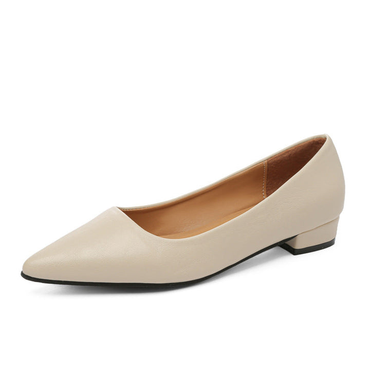 Damen klassische Ballerinas mit elegantem spitzen Design und bequemem Blockabsatz Echoarchiv