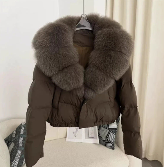 Damen nan kurz geschnittene Boxy-Pufferjacke mit extra großem Webpelzkragen und formstabilem Saum Echo Archiv