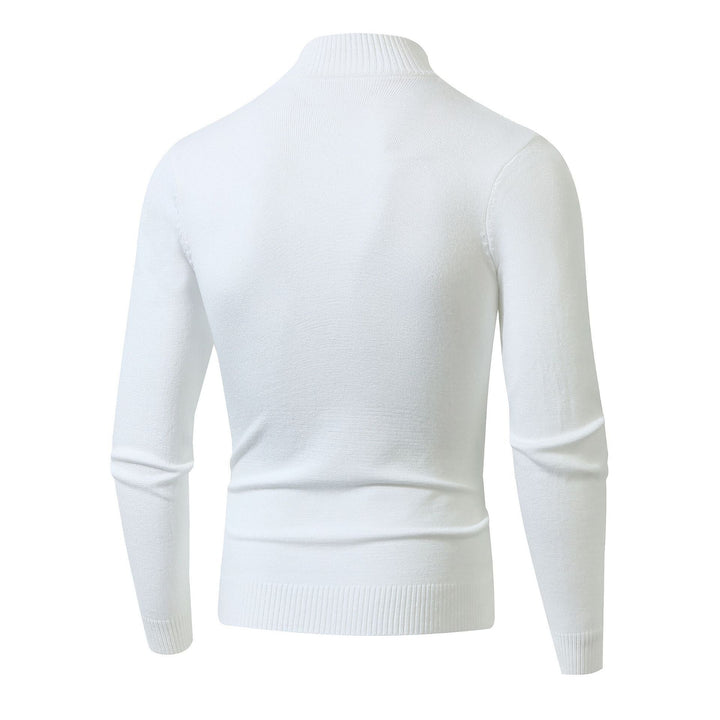 Herren Strickpullover mit modernem Zopfmuster und hohem Stehkragen Echoarchiv
