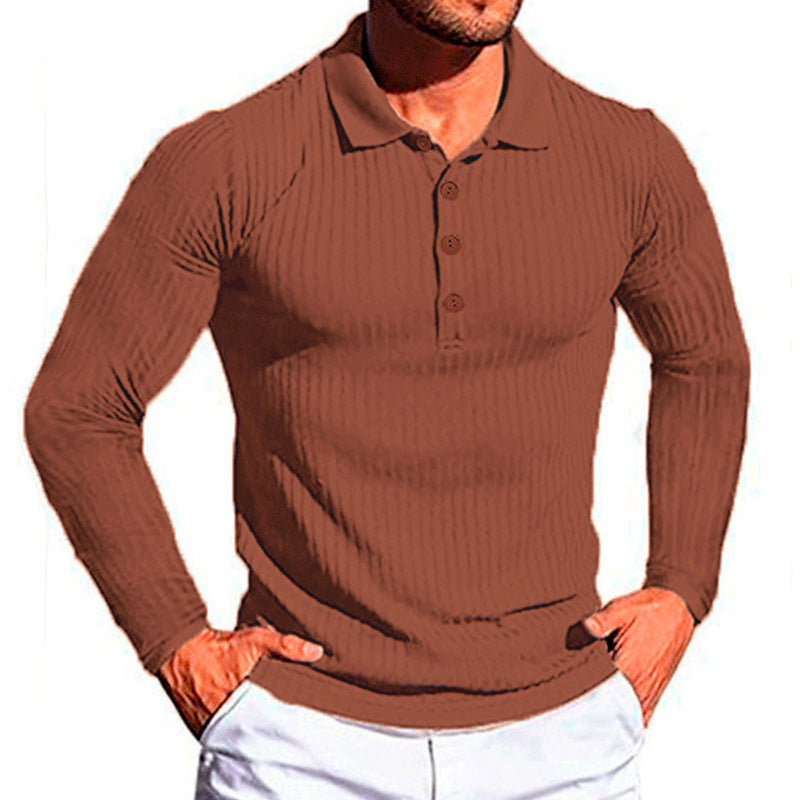 Herren elegantes langärmliges Poloshirt im strukturierten Design Echoarchiv