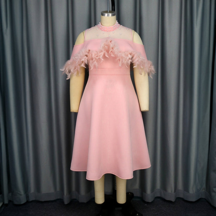 Damen elegantes Kleid mit transparenten Puffärmeln und dekorativen Federdetails Echo Archiv