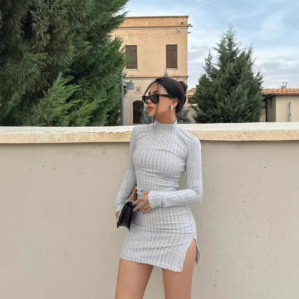 Damen Enganliegendes Rippstrick-Minikleid mit Rollkragen und langen Ärmeln Echoarchiv