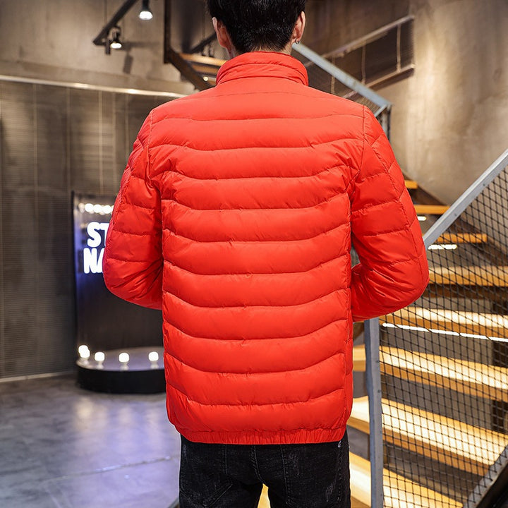 Herren Leichte gesteppte Daunenoptik-Jacke mit Stehkragen Echoarchiv