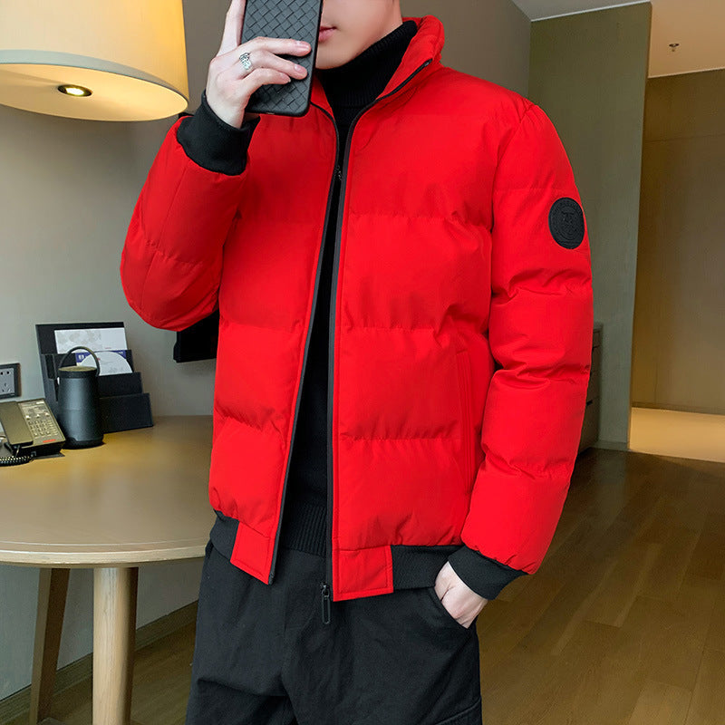 Herren kompakte Thermo-Steppjacke mit hohem Stehkragen, winddichter Außenhülle und elastischen Rippbündchen Echoarchiv