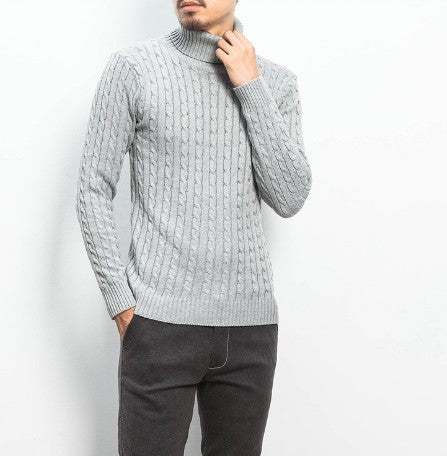 Herren modischer Rollkragenpullover mit strukturierter Strickoptik Echoarchiv