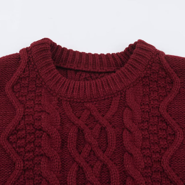 Damen Grobgestrickter Zopfstrick-Pullover mit Rundhals und Textur-Mix Echoarchiv