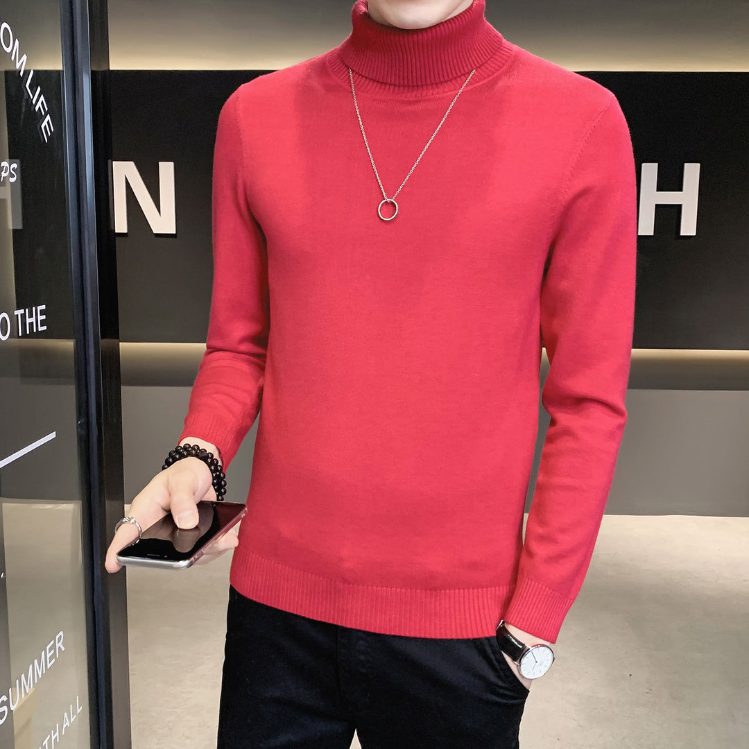 Herren Pullover mit hohem Kragen aus weicher Strickware Echoarchiv