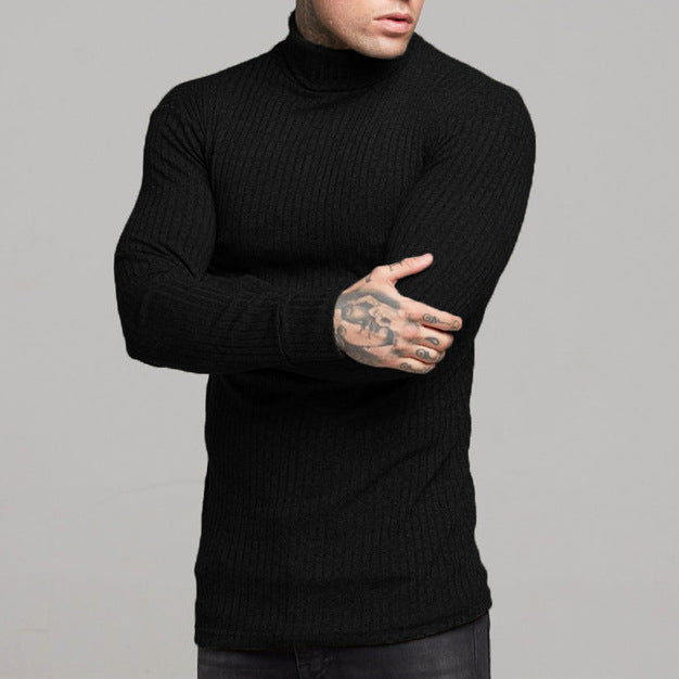 Herren modisches Langarmshirt mit Rollkragen Echoarchiv