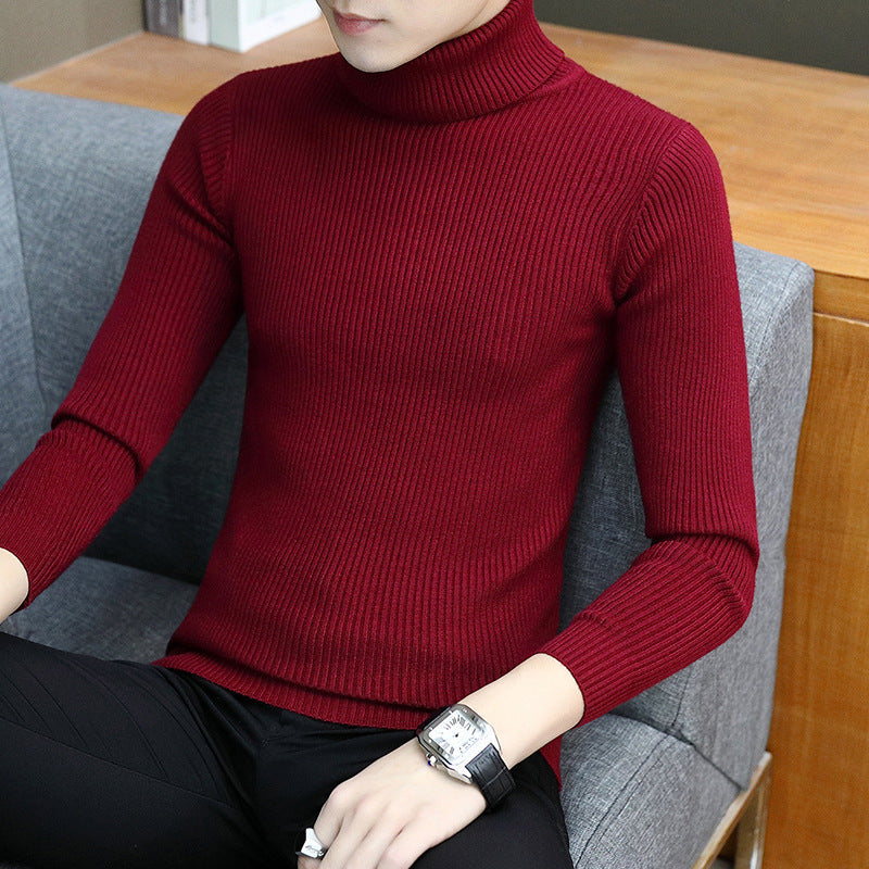 Herren Eleganter Rippstrick Rollkragenpullover Echoarchiv