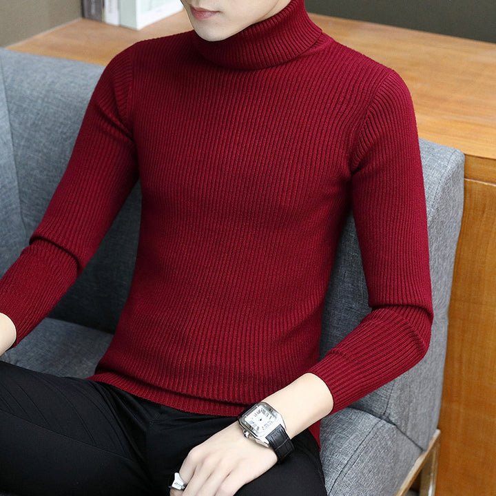 Herren Eleganter Rippstrick Rollkragenpullover Echoarchiv