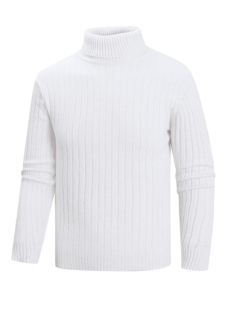 Herren Rollkragenpullover aus hochwertigem Feinstrick Echoarchiv