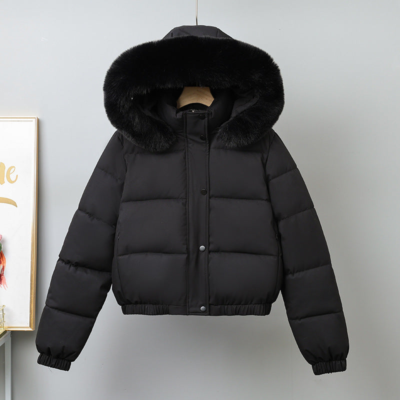 Damen kurz geschnittener Thermo-Blouson mit voluminöser Kapuzenblende und elastischem Saum – Célinea