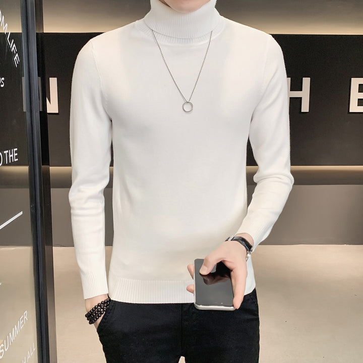 Herren Pullover mit hohem Kragen aus weicher Strickware Echoarchiv