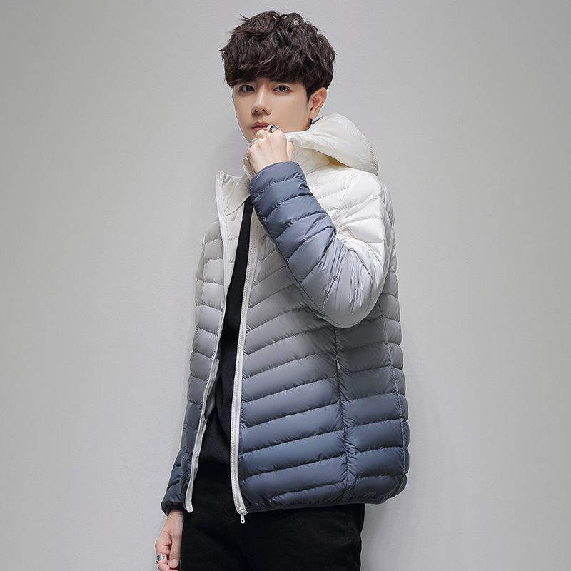 Herren leichte wattierte Steppjacke mit Stehkragen und Thermofutter Echoarchiv