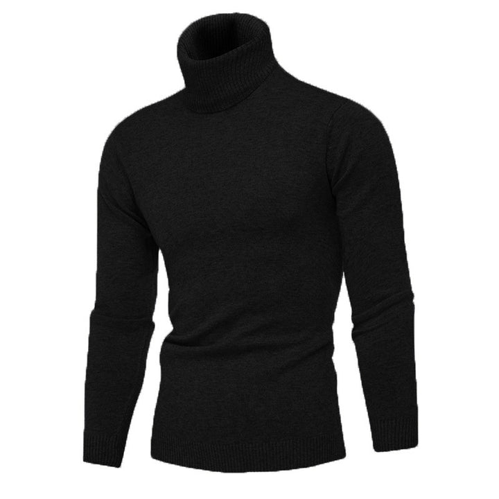 Herren Rollkragenpullover aus feiner Baumwolle mit figurbetontem Schnitt Echoarchiv