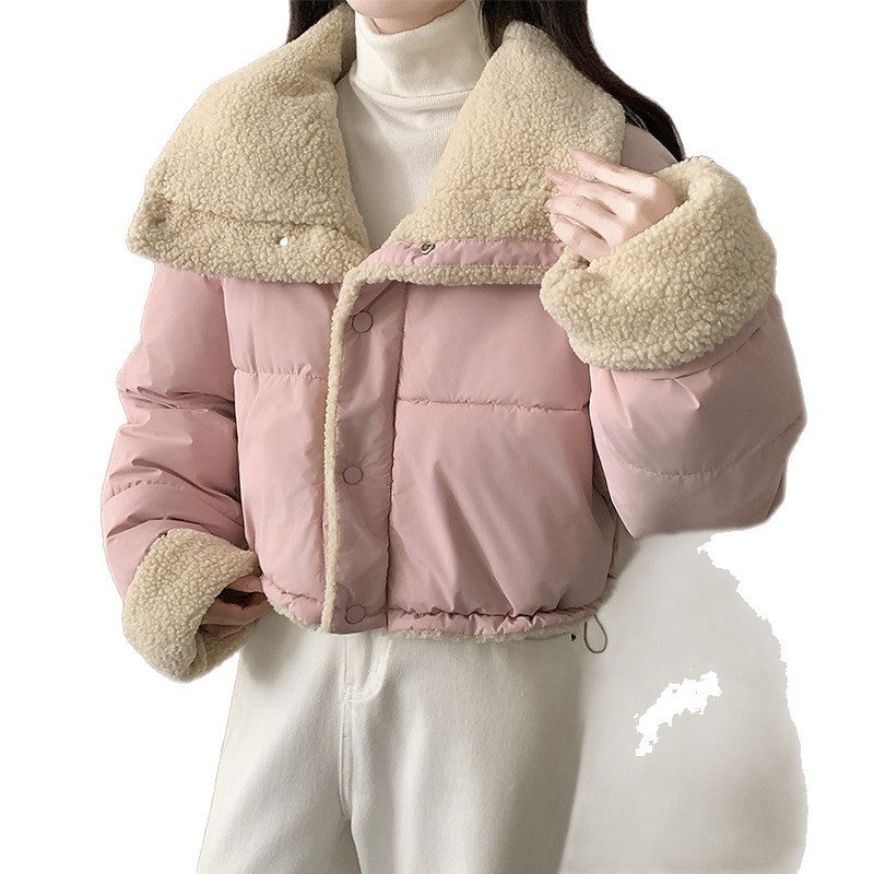 Damen nan kurze wattierte Jacke mit hochschließendem Schalkragen und Teddybündchen Echo Archiv