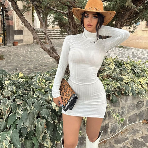 Damen Enganliegendes Rippstrick-Minikleid mit Rollkragen und langen Ärmeln Echoarchiv