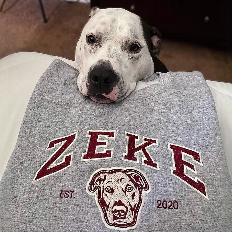 Unisex Besticktes College-Sweatshirt mit Hundeporträt und Vintage-Logo Echo Archiv