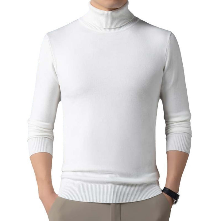 Herren figurbetonter Pullover mit Rollkragen Echoarchiv