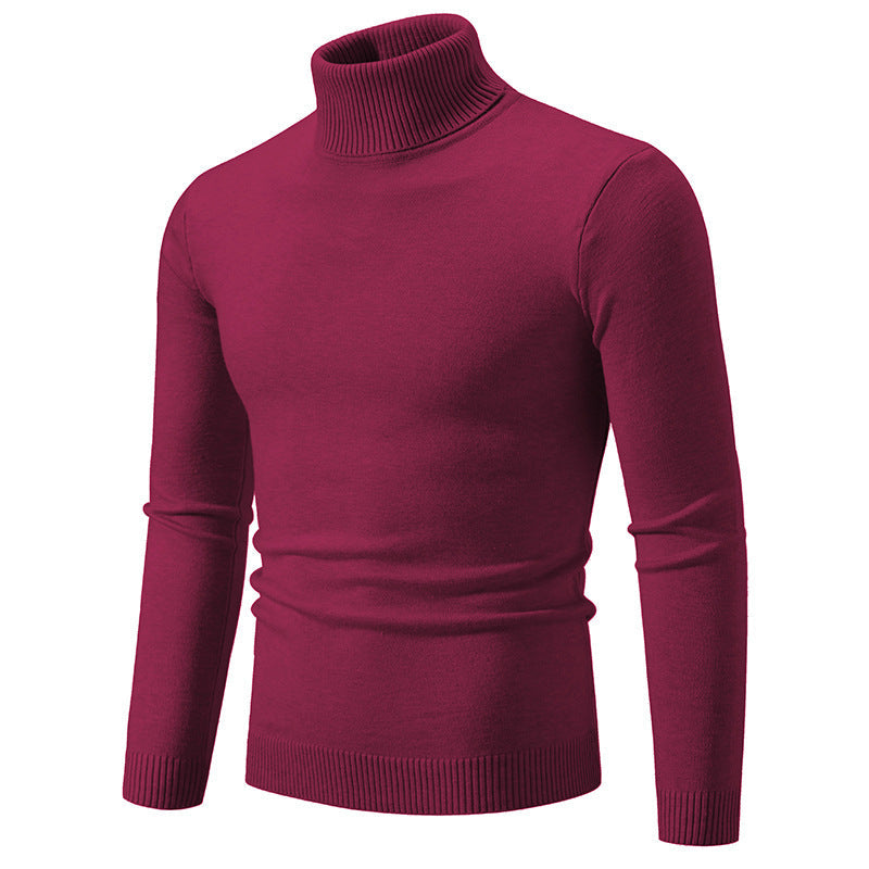 Herren eleganter Rollkragenpullover aus feiner Baumwolle Echoarchiv