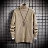 Herren Rollkragenpullover mit gerippter Struktur Echoarchiv