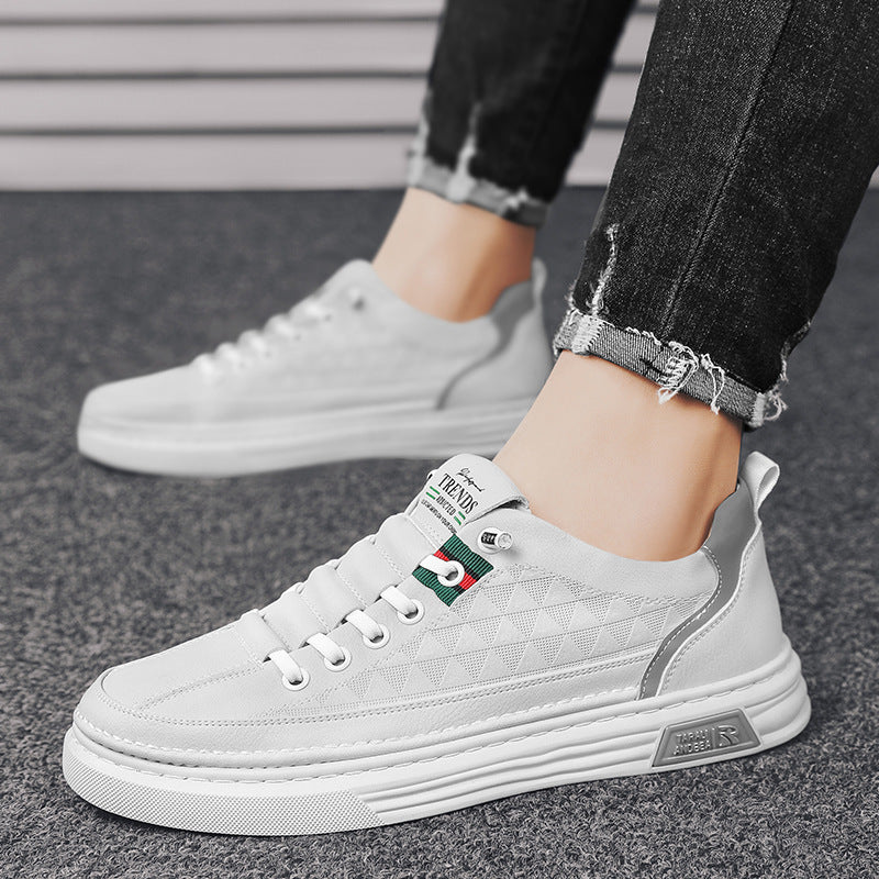 Damen modische Sneakers mit innovativem Obermaterial und dämpfendem Komfortsystem Echo Archiv
