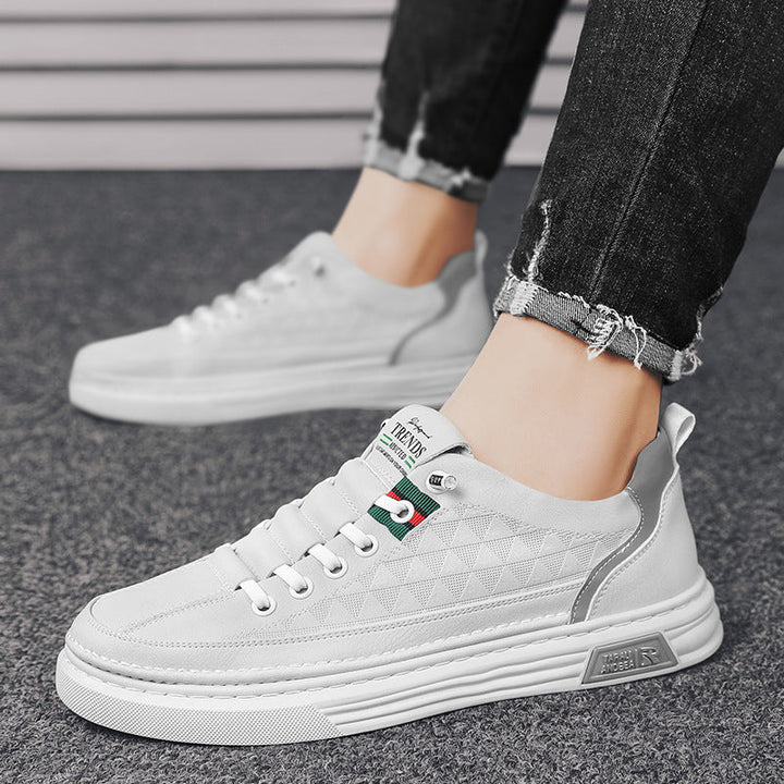 Damen modische Sneakers mit innovativem Obermaterial und dämpfendem Komfortsystem Echo Archiv