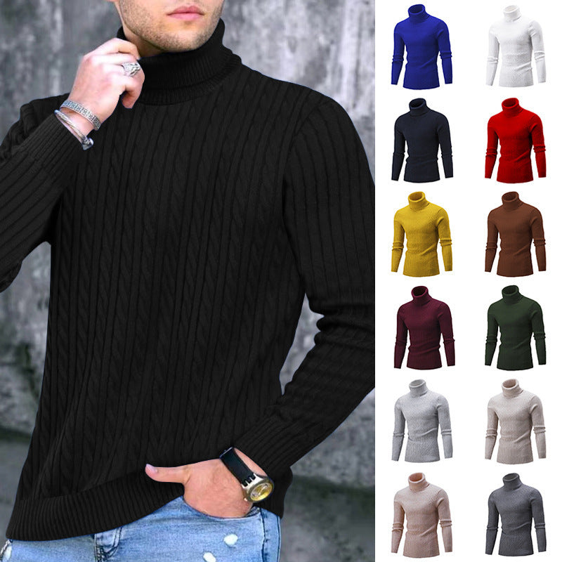Herren eleganter Rollkragenpullover mit exquisiter Zopfmusterstruktur Echoarchiv