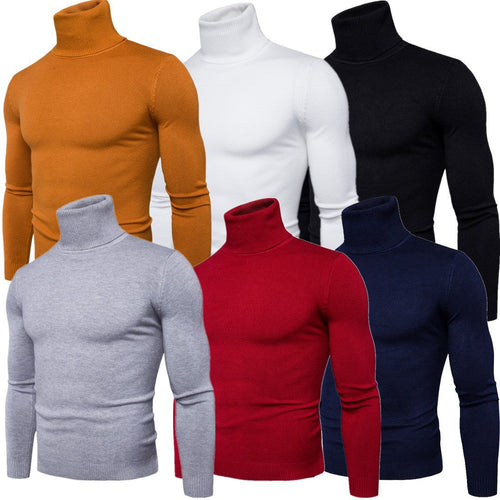 Herren Rollkragenpullover aus feiner Merinowolle Echoarchiv