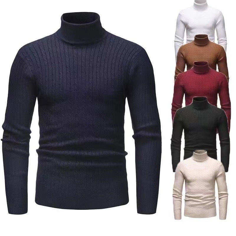 Herren Rollkragenpulli mit strukturiertem Zopfmuster Echoarchiv