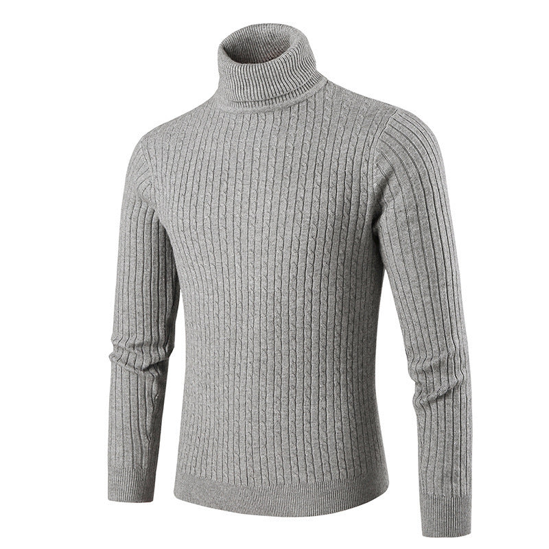 Herren modischer Rollkragenpullover aus strukturiertem Strick Echoarchiv