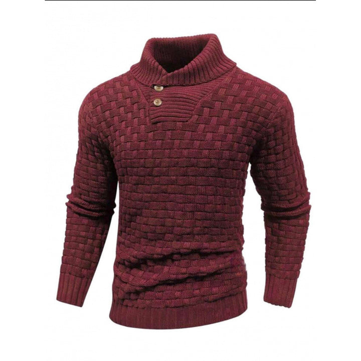 Herren Strickpullover mit Strukturiertem Muster und Modernem Stehkragen Echoarchiv