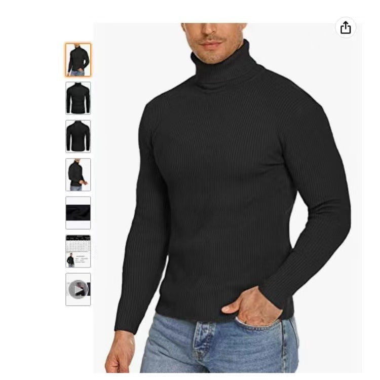 Herren Stehkragen Pullover aus ribbeltem Strick Echoarchiv