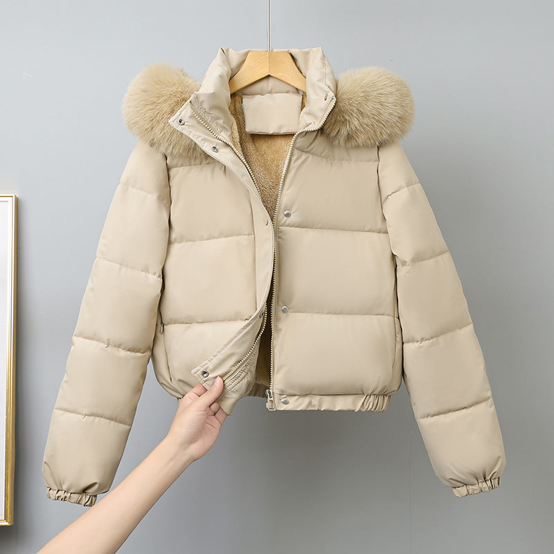 Damen kurz geschnittener Thermo-Blouson mit voluminöser Kapuzenblende und elastischem Saum – Célinea