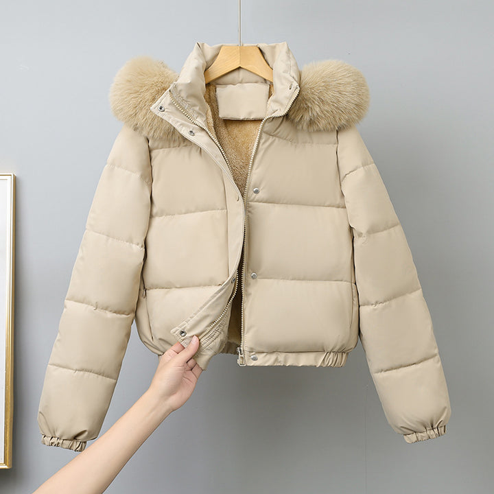 Damen kurz geschnittener Thermo-Blouson mit voluminöser Kapuzenblende und elastischem Saum – Célinea