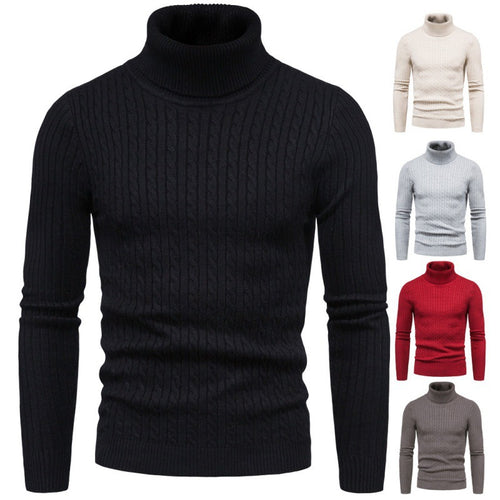 Herren Rollkragenpullover mit Zopfmuster Echoarchiv