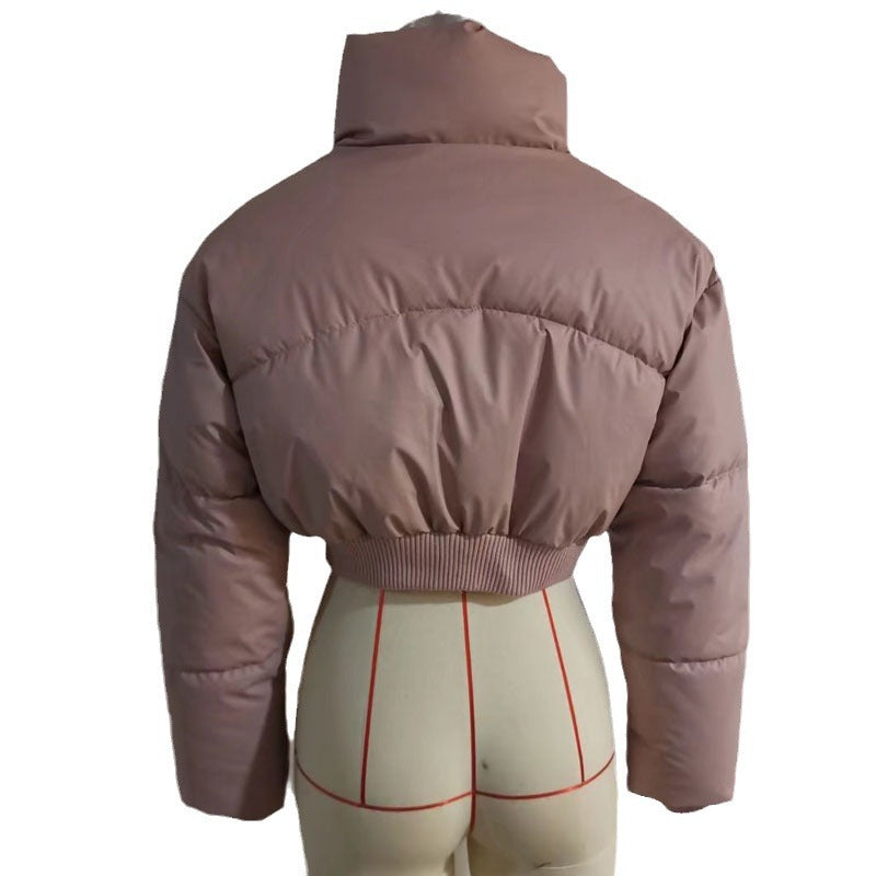 Damen kurz geschnittene gesteppte Cropped-Steppjacke mit hohem Stehkragen, verdecktem Reißverschluss und elastischem Rippenbund – Célinea