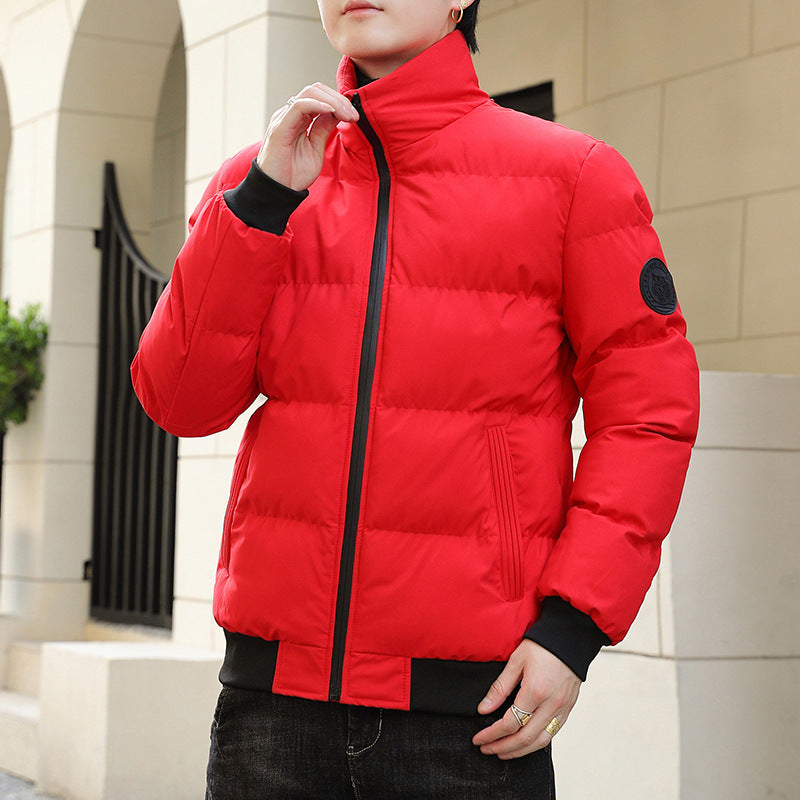 Herren modische Steppjacke mit hohem Kragen und wärmendem Innenfutter Echoarchiv