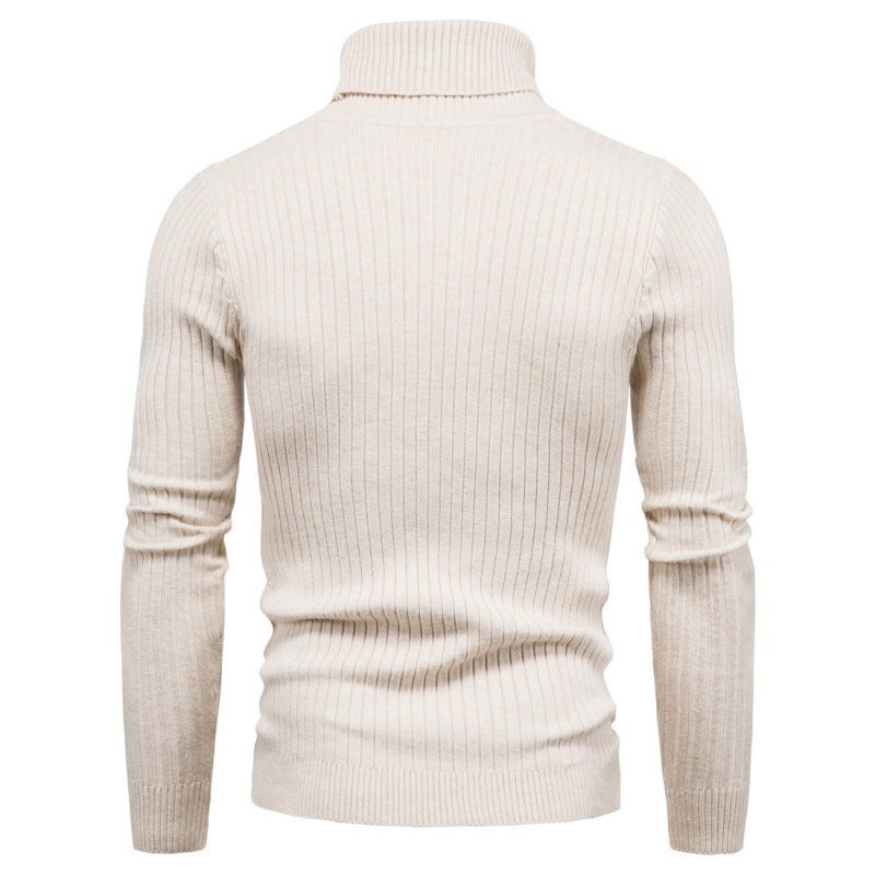 Herren Rollkragenpullover mit Zopfmuster Echoarchiv