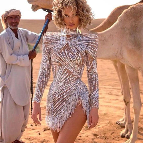 Damen Glamouröses Pailletten-Kleid mit transparenten Akzenten und Fransen Echoarchiv