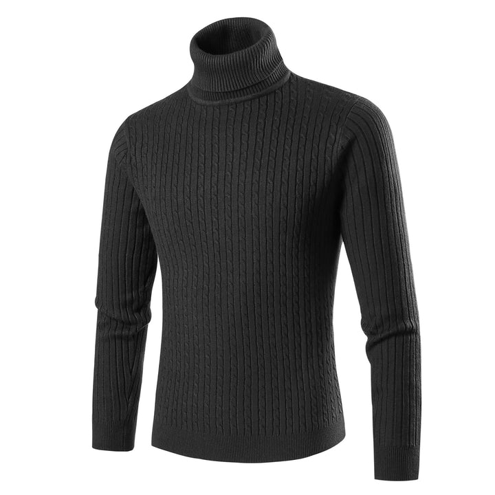Herren modischer Rollkragenpullover aus strukturiertem Strick Echoarchiv