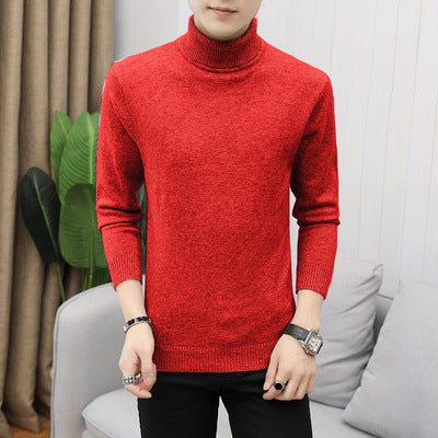 Herren eleganter Rollkragenpullover aus feiner Merinowolle Echoarchiv