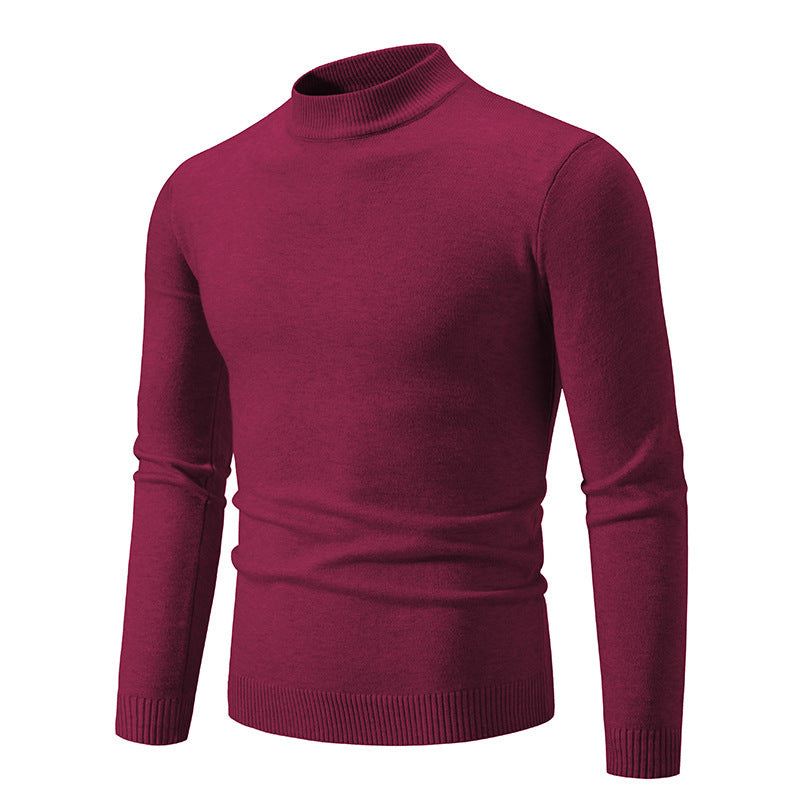 Herren modischer Rollkragenpullover aus feiner Strickqualität Echoarchiv
