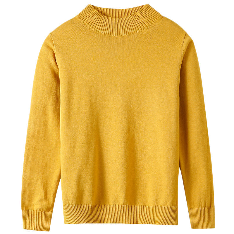Damen Leichter Kurzgeschnittener Stehkragenpullover aus Feinstrick mit verlängerten Rippbündchen Echoarchiv