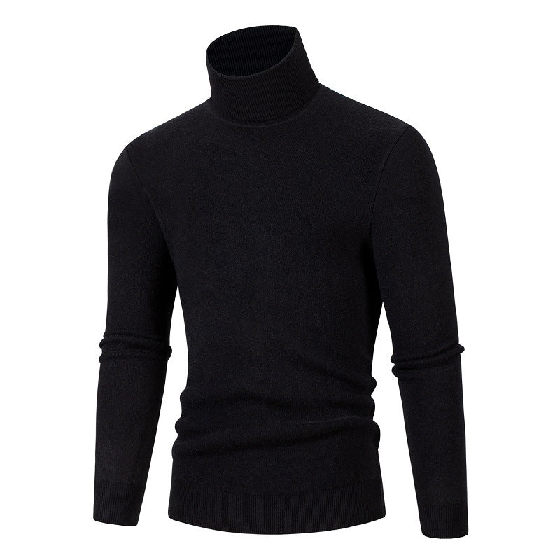 Herren Rollkragenpullover aus weichem Material Echoarchiv