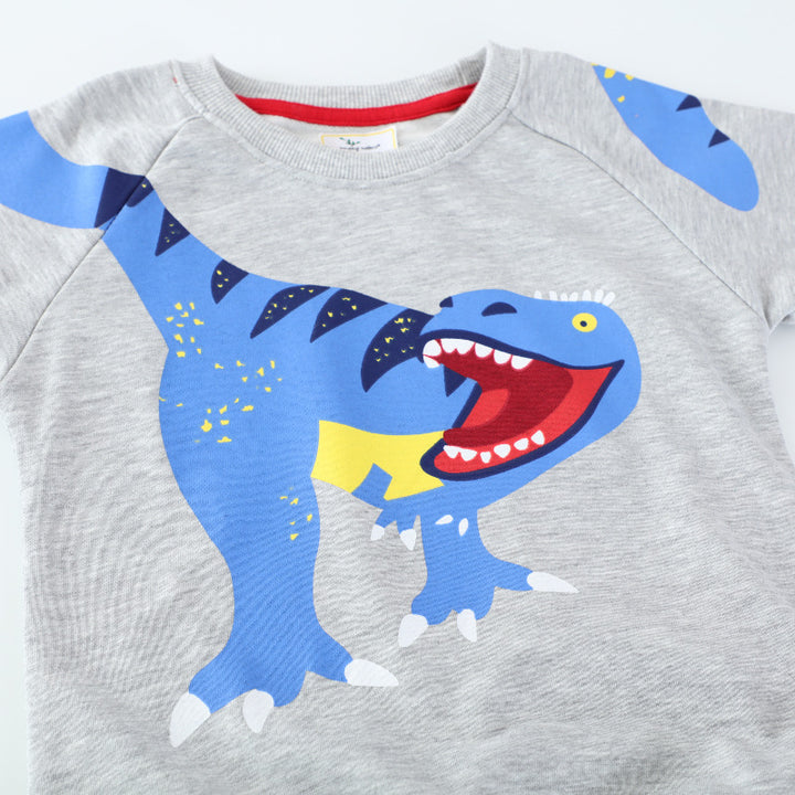 Jungen Sweatshirt mit lebhaftem Dinosaurier-Motiv Echo Archiv